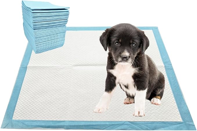 Puppy Pee Pads, 22 x 22 Inch Leak-Proof Pet Potty Training Pads for Dogs, Quick Absorb 6-Layer Design, Ideal for Puppies, Cats, Rabbits, and Guinea Pigs (Blue-50 Count)