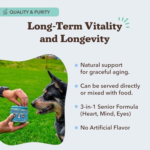 Natural Dog Company Senior Dog Bundle – Omega 3 Fish Oil Liquid 16oz & Senior Wellness Chews 90ct – Support Mobility, Brain, Heart & Eye Health with Turmeric, Salmon, Lion’s Mane & Omega-3s