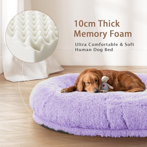 ROOMTEC Human Dog Bed, 71''x45''x12'' Size Fits Adult Pet Washable Oversize People Bed 10 CM Thick Memory Foam Large Giant Pet Bed with Plump Pillow, Blanket, Strap - Purple