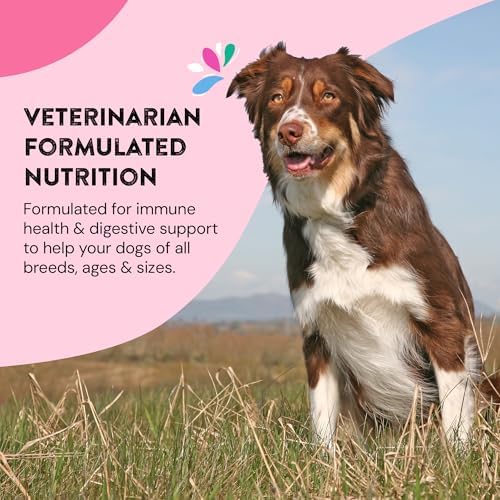 Skin & Coat Supplements for Dogs | Dog Itching Skin Relief & Promotes Shiny Skin Coat for Dogs | Rich in Omega 3 All-Natural Ingredients Tasty Kibble Dog Food Topper | 60 Count Pack