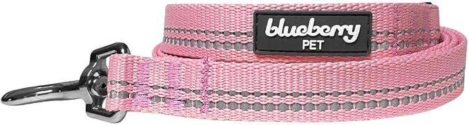Blueberry Pet 3M Reflective Pastel Color Dog Leash with Soft & Comfortable Handle, 5 ft x 5/8", Baby Pink, Small, Leashes for Dogs