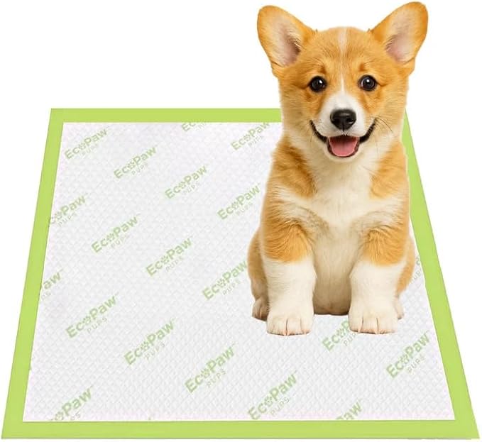 Super Absorbent Pet Training Pads, Large 24x24 Inch, Adhesive Backed, USDA Certified Biobased, 40 Count