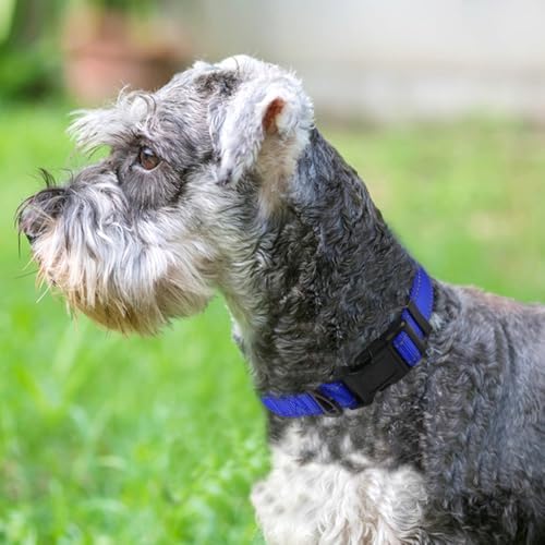 Joytale Reflective Dog Collar, Adjustable Neoprene Padded, Navy Blue M