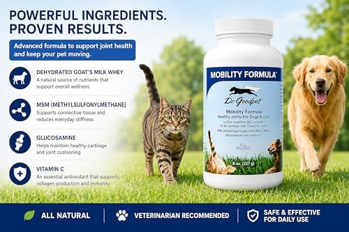 Dr. Goodpet Mobility Formula | All-Natural Hip & Joint Support Powder for Dogs & Cats with MSM, Glucosamine, Vitamin C and Goat’s-Milk Whey | Effective Joint Pain Relief for Active, Aging Pets