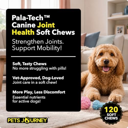 Canine Joint Soft Chews (120 ct) - Glucosamine & MSM Joint Supplement for Dogs - Dog Arthritis Pain Relief – Supports Mobility & Eases Stiffness - Tasty & Easy to Give