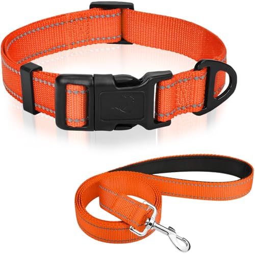 Joytale Dog Collar (10-16") and 6FT x 3/4" Wide Dog Leash Set, Reflective and Adjustable Nylon Collar and Padded Handle Leash for Small Dogs, Orange, S