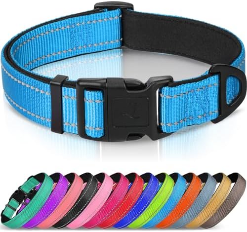 Joytale Reflective Dog Collar, Adjustable Neoprene Padded, Sky Blue XS