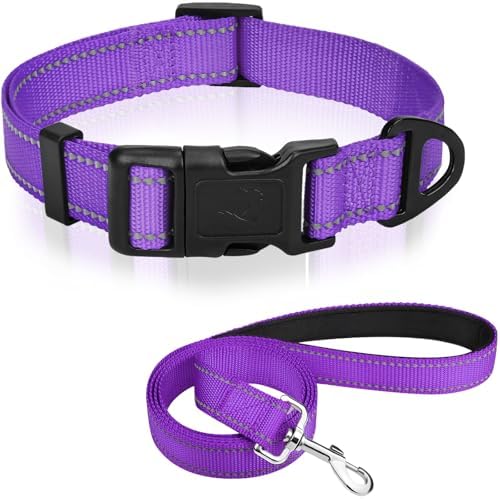 Joytale Dog Collar (10-16") and 6FT x 3/4" Wide Dog Leash Set, Reflective and Adjustable Nylon Collar and Padded Handle Leash for Small Dogs, Purple, S