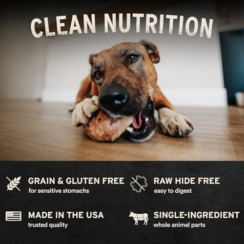 Vital Essentials Freeze-Dried Raw Turkey Neck Dog Treat & Natural Chew, 2-Pack | Single Ingredient Dog Treat for Medium Chewers | Made in USA