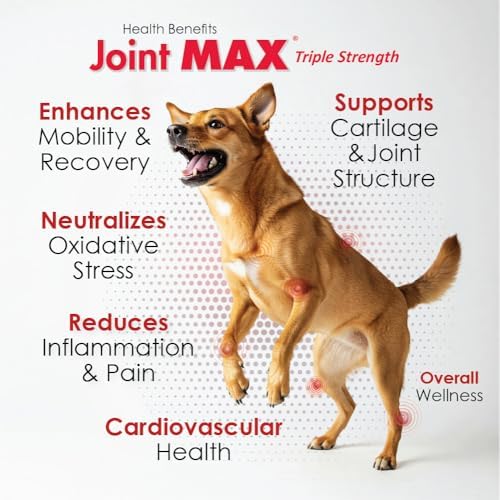 Liquid for Dogs – Glucosamine Chondroitin MSM Hip & Joint Supplement Liquid with Organic Turmeric – All-Natural Dog Joint Support Oil for Mobility, Arthritis, Skin & Coat – 32 fl oz