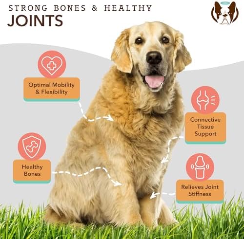 Natural Dog Company Dog Supplements for Seniors & Active Dogs - Multivitamin Chews & Hip & Joint Relief - Complete Nutritional Support for Joint Health, Vitamins for Dogs, Energy, & Vitality
