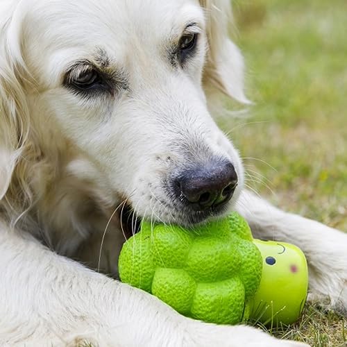 Petface Latex Broccoli Soft Chew Dog Toy, Small | Durable & Flexible Material, Squeaky Sound, Safe for Pets, Interactive Fun