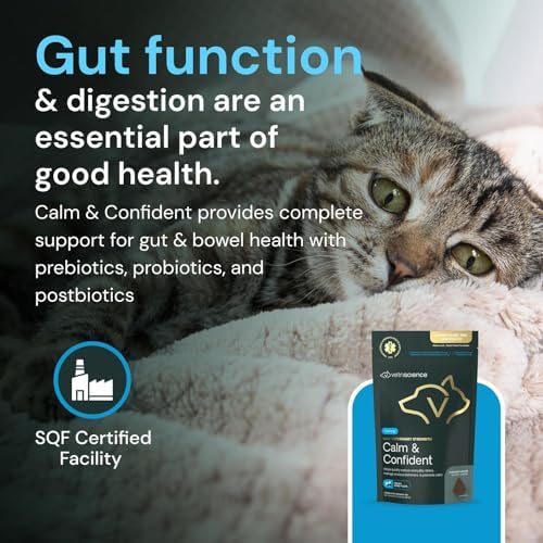 VETRISCIENCE Max Veterinary Strength Calm & Confident Chews, 45 Count