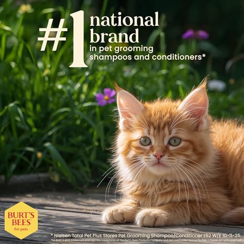 Burts Bees for Pets Kitten Grooming Wipes with Buttermilk, 50 Count