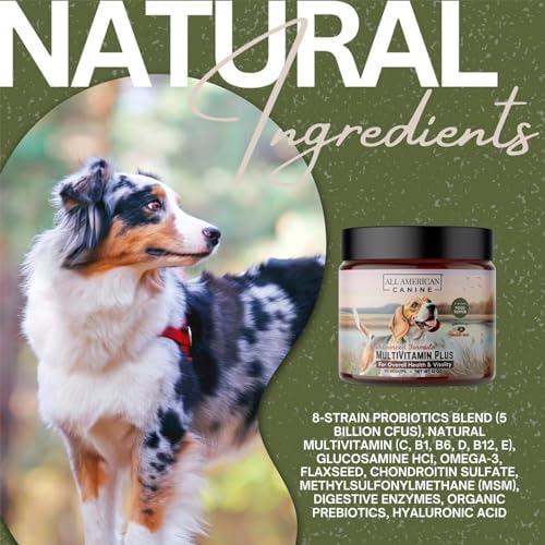 All American Canine Dog Multivitamin Powder, Beef Flavor, 90 Servings