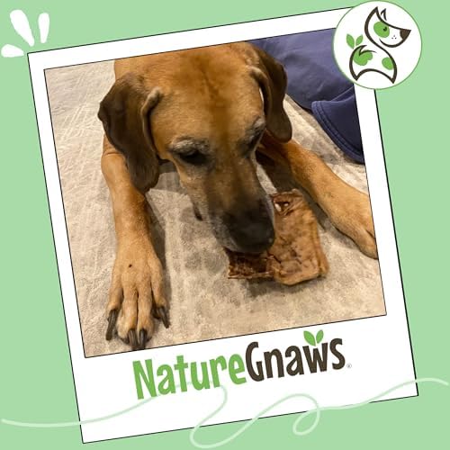 Nature Gnaws USA Beef Lung Filets for Dogs (8oz) - Single Ingredient Natural Dog Chew Treats – Made in USA - Rawhide Free