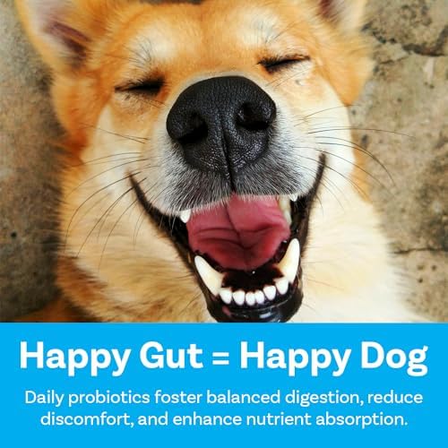 PawSafe® Dog Probiotics Soft Chews for Picky Eaters - USA Made, 120 Count - Digestive & Gut Health, Diarrhea, Gas Relief, Allergy & Itchy Skin Support - Natural with Pumpkin - Honey Chicken Flavor