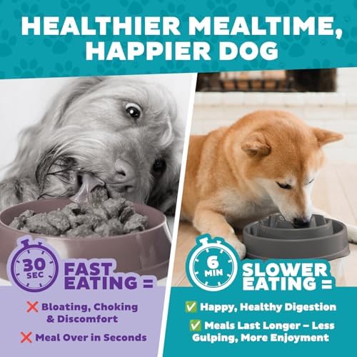 Outward Hound Fun Feeder Slo Bowl – Medium 2‑Cup Capacity,Slow Feeding,Small to Medium Dogs & Cats,Non-Slip,Gray,Drop Pattern,(Pack of 12)