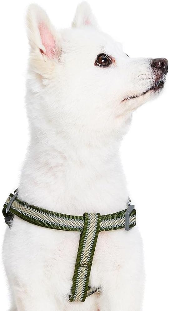 Blueberry Pet Essentials Step-in Reflective Back to Basics Dog Harness, Dark Olive, Chest Girth 16.5" - 21.5", Small, Adjustable Harnesses for Dogs