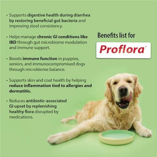 Probiotics and Prebiotics for Dogs – Daily Digestive Health Supplement, Supports Immune System, Gut Health, Healthy Digestion & Nutrient Absorption, 30 Powder Sachets.
