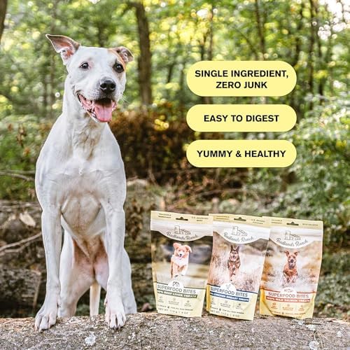 BADLANDS RANCH by Katherine Heigl – Superfood Bite Freeze-Dried Raw Beef Liver Dog Treats – High Protein Single-Ingredient Snacks for Training, Rewards & Daily Wellness (Pack of 3)