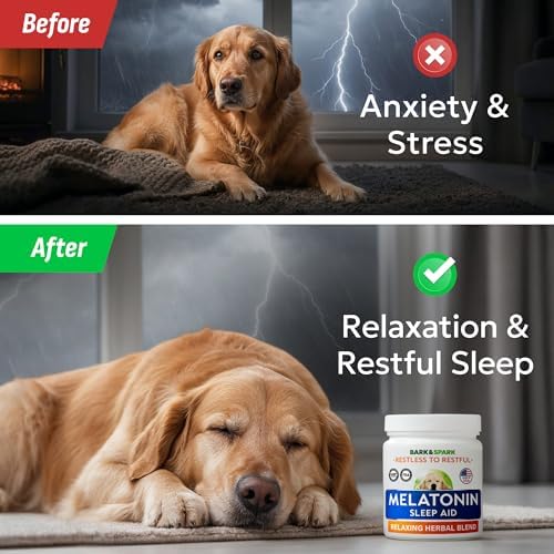 Dog Melatonin
