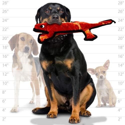 TUFFY® : 2 Pack Lizard Dog Toy: Ultra Durable Plush Toy with Multiple Layers & Reinforced Seams, Washable and Floats, Original Construction