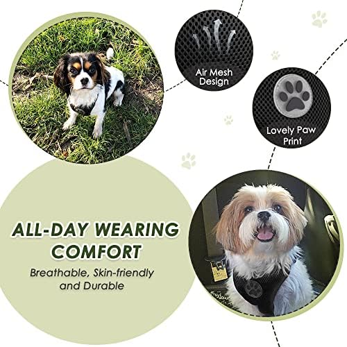 SlowTon Dog Car Seat Belt Harness - B, XXS