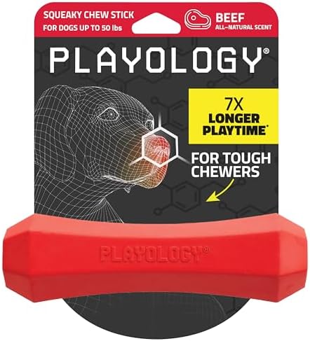 Playology Squeaky Chew Stick - Scented Dog Toy - Medium, Beef Scent | Rubber Construction, All Natural Scent, Durable Design