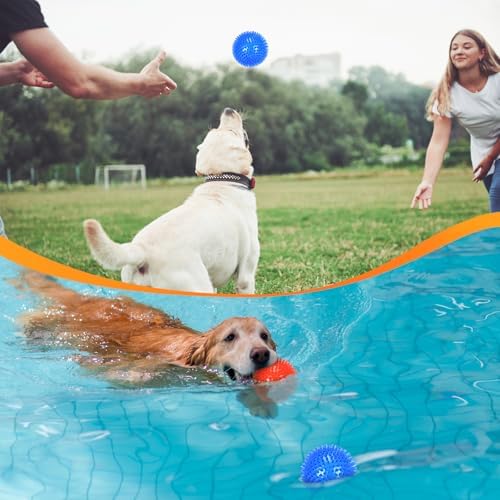 petizer Squeaky Dog Toy Balls, Floating Spiky, 3.5in, 6-Pack, Medium/Large