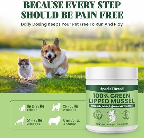Green Lipped Mussel Powder for Dogs & Cats - 100% New Zealand Green Lipped Mussels - Natural Hip & Joint Supplement for Joints, Tendons, Ligaments, Muscles - 75 Grams - Up to 250 Servings