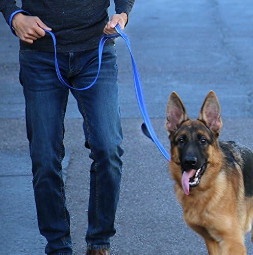 Max and Neo Triple Handle Traffic Dog Leash - Reflective, Donates to Dog Rescue (Teal)