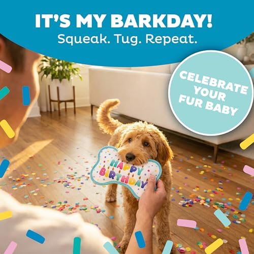 Outward Hound Tough Skinz Birthday Bone Dog Toy, Extra Durable Plush, No Messy Filling, Jumbo Squeaker, All Breeds, 9"