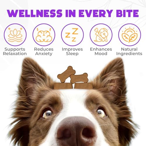 Hemp Calming Chews for Dogs Anxiety 200 pcs, Melatonin, 200-Pack