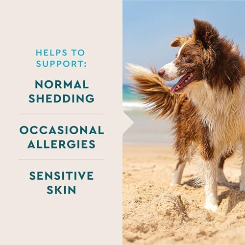 VetIQ Skin and Coat Supplement for Dogs, 90ct