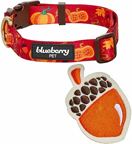 Blueberry Pet Thanksgiving Fall Pumpkin and Acorn Adjustable Dog Collar with Detachable Accessory, Large, Neck 18"-26"