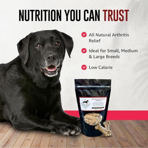 Old Dog Cookie Company Hip and Joint Support Dog Treats – All Natural Arthritis Relief | Dog Supplement for Small, Medium & Large Breeds, Hip and Joint Chews for Dogs | 10 oz