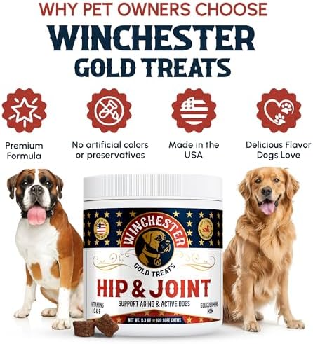 Hip & Joint Dog Supplement: All-Natural 120 Count Soft Chew Treat with Glucosamine, Chondroitin, MSM, Turmeric, Collagen, Vitamins C & E; Perfect for Large & Small Dogs; Made in USA by Winchester Gold