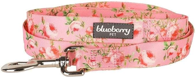 Blueberry Pet 9 Patterns Durable Spring Scent Inspired Floral Rose Baby Pink Dog Leash 5 ft x 3/8" for Puppy, X-Small, Leashes for Dogs
