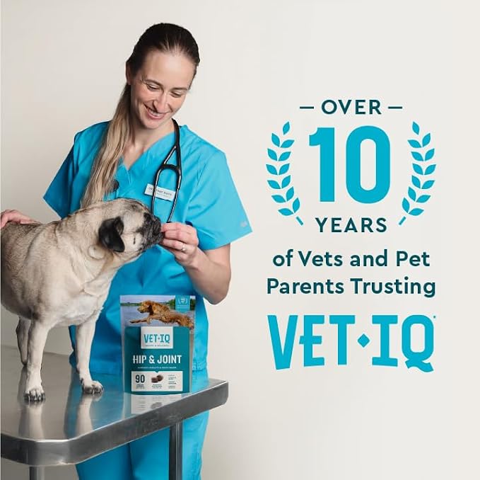 VetIQ Glucosamine Hip & Joint Supplement for Dogs, 180 Soft Chews, Joint Support Supplement with MSM and Krill, Dog Health Supplies Large & Small Breed, Chicken Flavored Chewables | Supports mobility for large & small breeds; glucosamine, MSM & krill o...