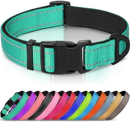 Joytale Reflective Dog Collar, Adjustable Neoprene Padded, Teal XS
