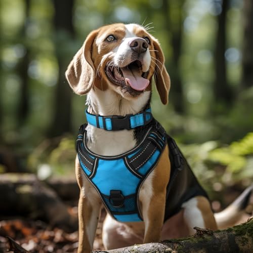 Joytale Reflective Dog Collar, Adjustable Neoprene Padded, Sky Blue XL
