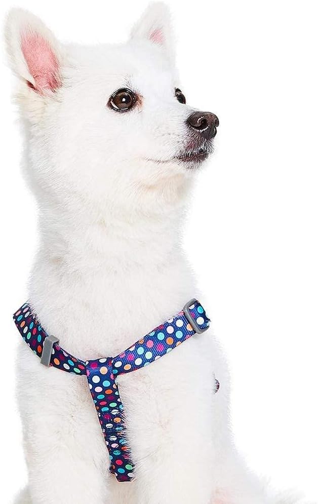 Blueberry Pet Essentials Step-in Rainbow Polka Dots Dog Harness, Chest Girth 16.5" - 21.5", Small, Adjustable Harnesses for Dogs