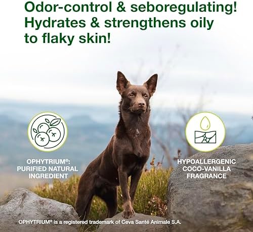 Douxo S3 SEB Dog Seboregulating Shampoo, 0.5% Ophytrium, 6.7 fl oz