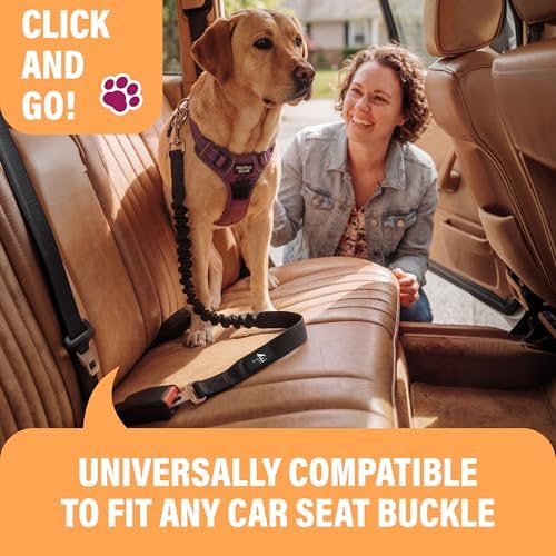 Active Pets Dog Seatbelt - Adjustable Safety Harness