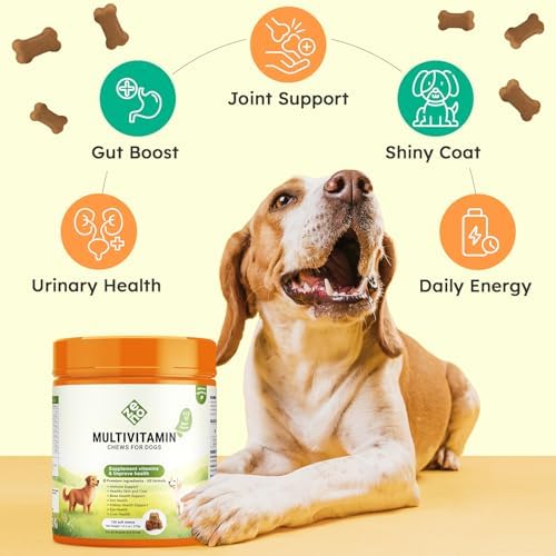 ZENO Dog Vitamins and Supplements - 150 Dog Multivitamin Chewable - Immune, Joint Support, Skin, Gut Health + Packed with Omega 3s, Glucosamine & Probiotics - Safe for Puppy - Beef