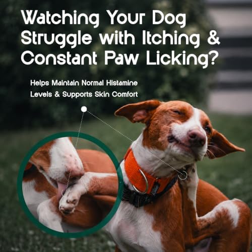 Dog Allergy Chews - Itch Relief, Paw Licking Remedy, Calming Aid, Seasonal Allergies Care, Immune Support with Probiotics - for Itchy & Dry Skin, Hot Spots & Itchy Ears - 60 Soft Chews