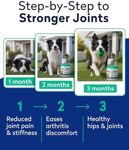 PAWFECTCHEW Advanced Hip & Joint Glucosamine Supplement for Dogs - Treats for Picky Eaters w/Chondroitin, MSM, Omega-3 - Joint Pain Relief - Chicken Liver - 180 Ct - Made in USA