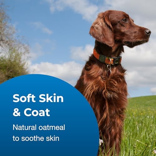 Pet-Ag Fresh ’n Clean Oatmeal ’n Baking Soda Shampoo - Tropical Fresh Scent (10:1 Concentrate) - 1 Gallon - Nurtures Dry, Itchy Skin with Vitamin E & Aloe - Strengthens & Repairs - Soap Free