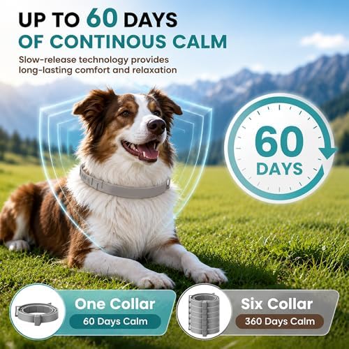 Calming Collar for Dogs, 6-Pack, 25 Inch, Grey